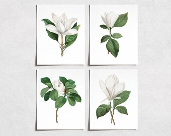 Vintage Magnolia Flower Prints (4) | Minimal Modern Wall Art Victorian Illustration | Wall Art Decor Prints | Room Wall Decor | YP-1043