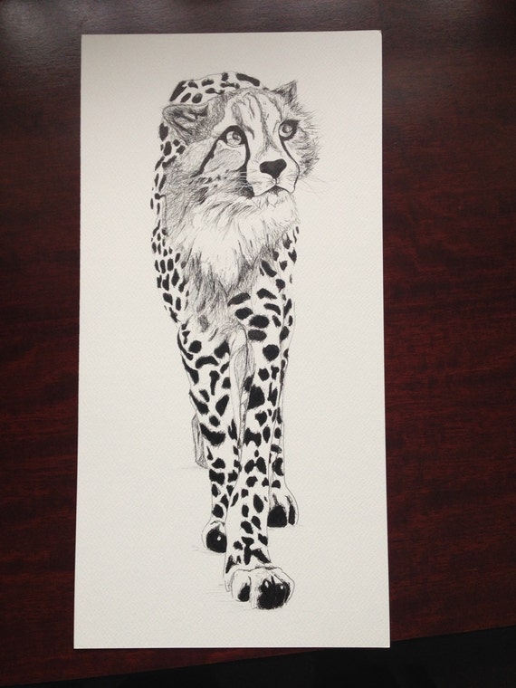 Head Cheetah Drawing Easy - How to Draw Animals: Big Cats, Their Anatomy and Patterns - First, start drawing the guide lines: