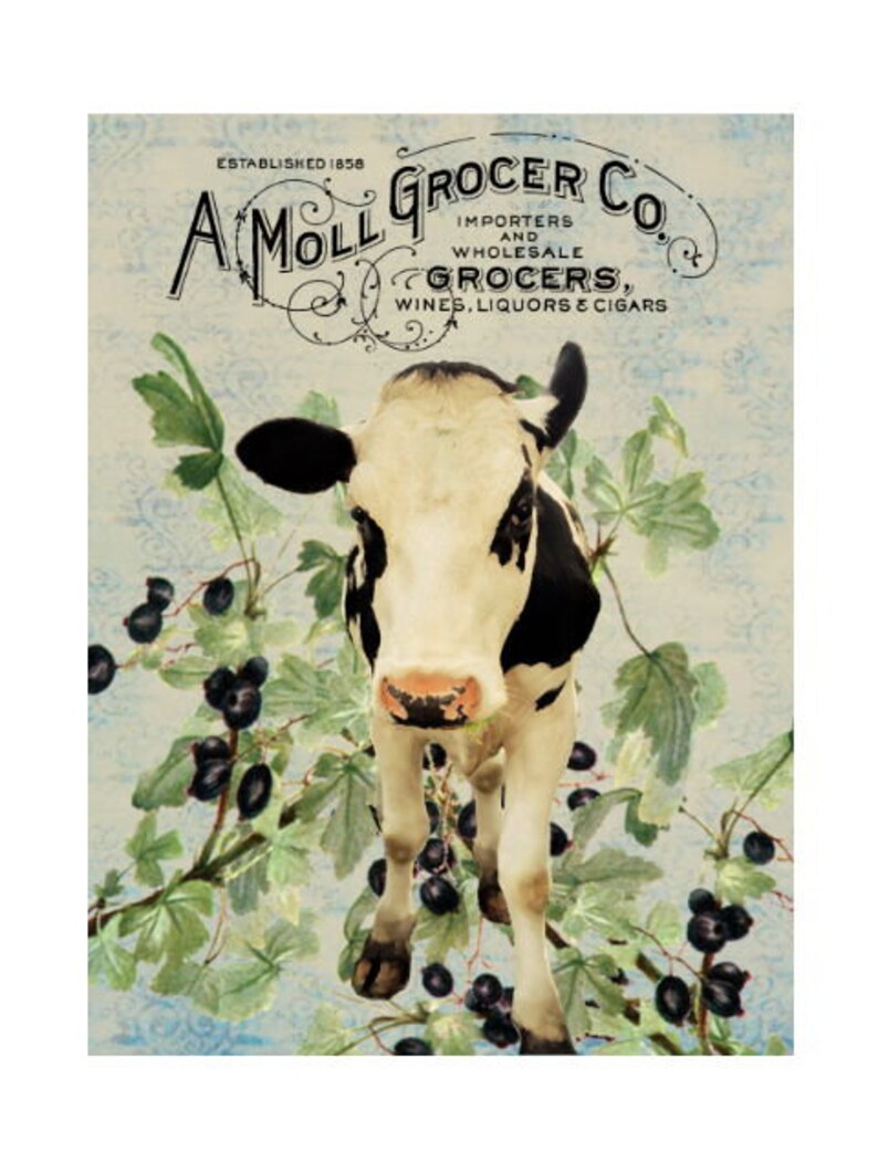 Kitchen Wall Art Cow Print Farmhouse Wall Decor Kitchen Etsy