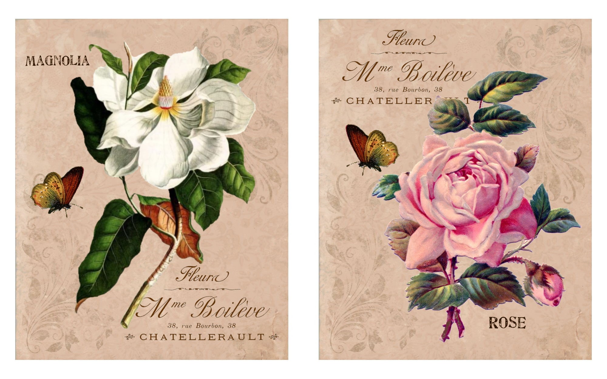 Botanical Wall Art Set Provincial French Country Floral Wall Etsy