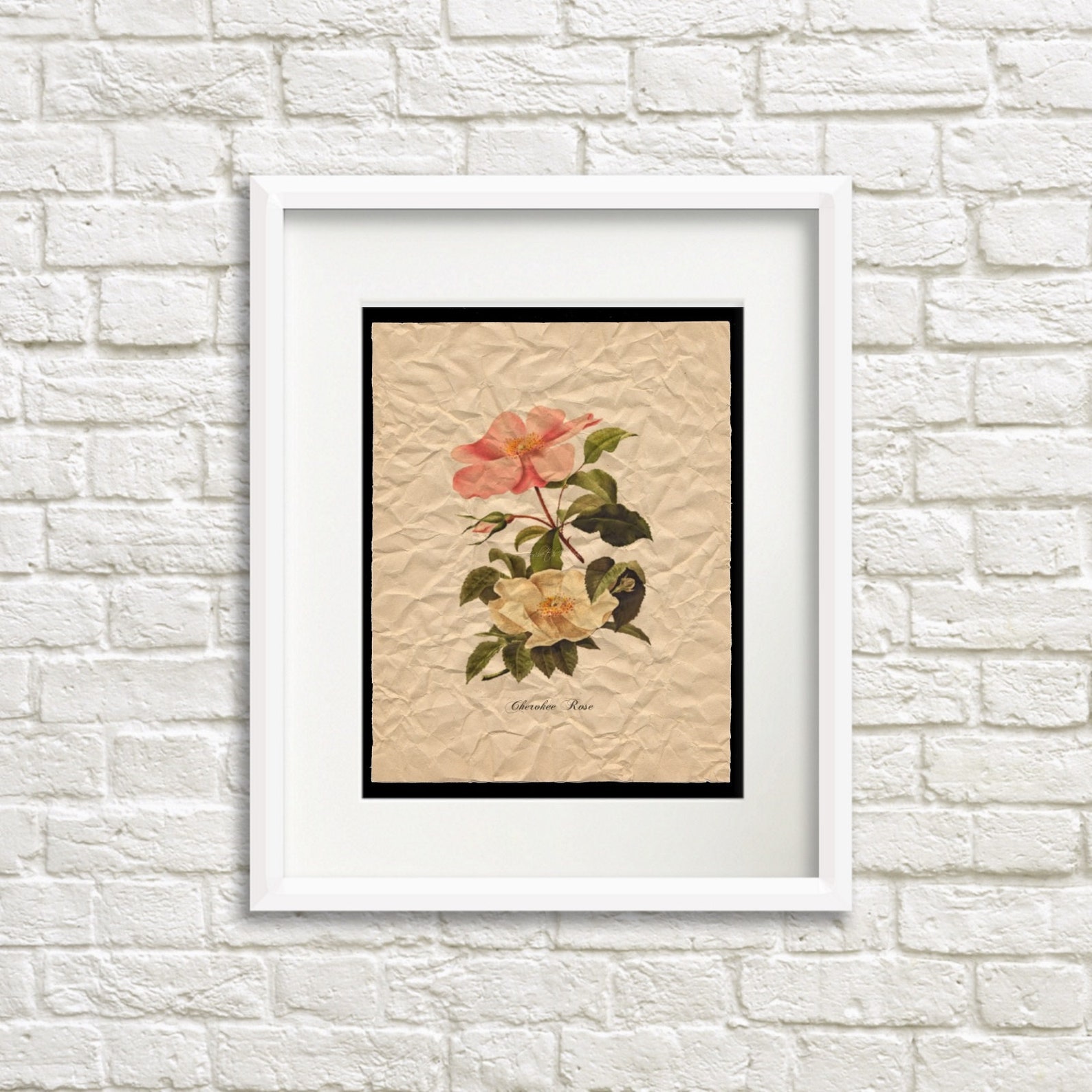 Modern Farmhouse Floral Wall Art Print Botanical Rose Nature Etsy