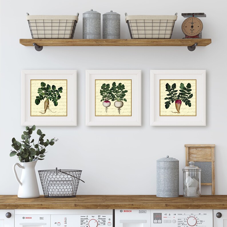 Botanical Art Set of 3 Prints Gallery Wall Farmhouse Art Etsy