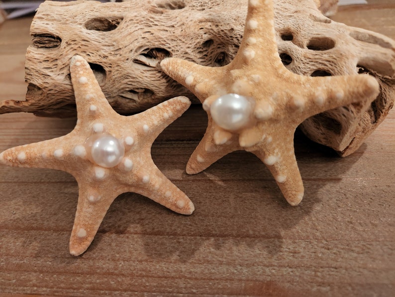Starfish Brooch Pin Real Knobby Starfish Beach Wedding Etsy