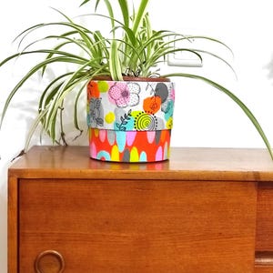 Colorful  Indoor Flower pot