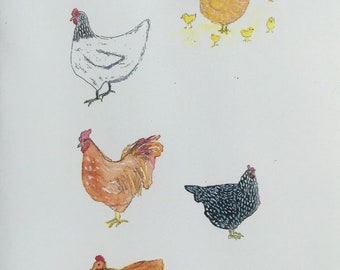 Chicken note cards come in sets of five cards and five envelopes.