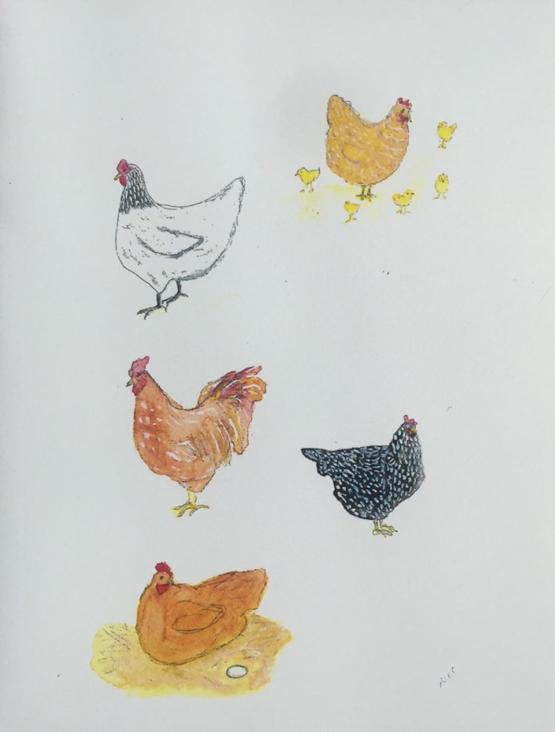 Chicken note cards come in sets of five cards and five image 1