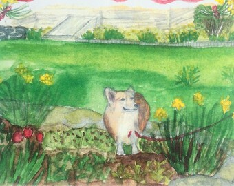 Lili the Corgi comes in sets of five note cards and envelopes in a sleeve.  They are blank inside and have a title on the back.