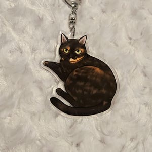May include: A clear acrylic keychain featuring a tortoiseshell cat illustration. The cat is depicted in a relaxed pose with brown, black, and orange fur, and yellow eyes. The keychain has a silver-colored clasp.