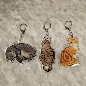 Tabby cat clear acrylic charm keychain Gray Tabby Brown Tabby Orange Tabby