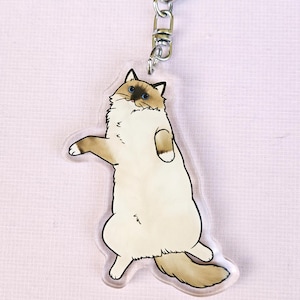 Op de afbeelding: Een heldere acryl sleutelhanger met een cartoon illustratie van een Ragdoll kat. De kat wordt afgebeeld in een staande pose met een lichtbruin en crème kleurenschema, blauwe ogen en een zilverkleurige sleutelring.