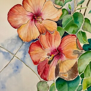 Op de afbeelding: Waterverf schilderij van twee roze en oranje hibiscus bloemen met groene bladeren.