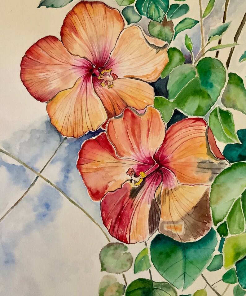 Op de afbeelding: Waterverf schilderij van twee roze en oranje hibiscus bloemen met groene bladeren.