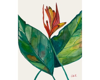 Art print of a watercolor flower. Tropical botanical art print. Giclee print.