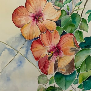 Op de afbeelding: Waterverf schilderij van twee hibiscus bloemen, &eacute;&eacute;n perzik en &eacute;&eacute;n rood, met groene bladeren op de achtergrond.