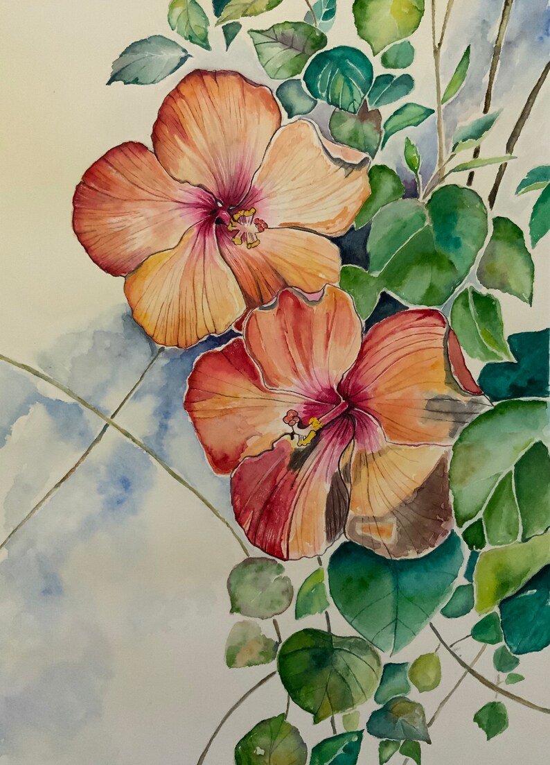 Op de afbeelding: Waterverf schilderij van twee hibiscus bloemen, &eacute;&eacute;n perzik en &eacute;&eacute;n rood, met groene bladeren op de achtergrond.