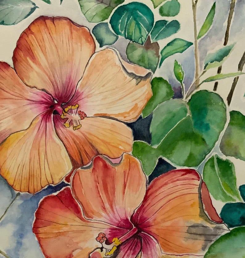 Op de afbeelding: Waterverf schilderij van twee roze en oranje hibiscus bloemen met groene bladeren op de achtergrond.