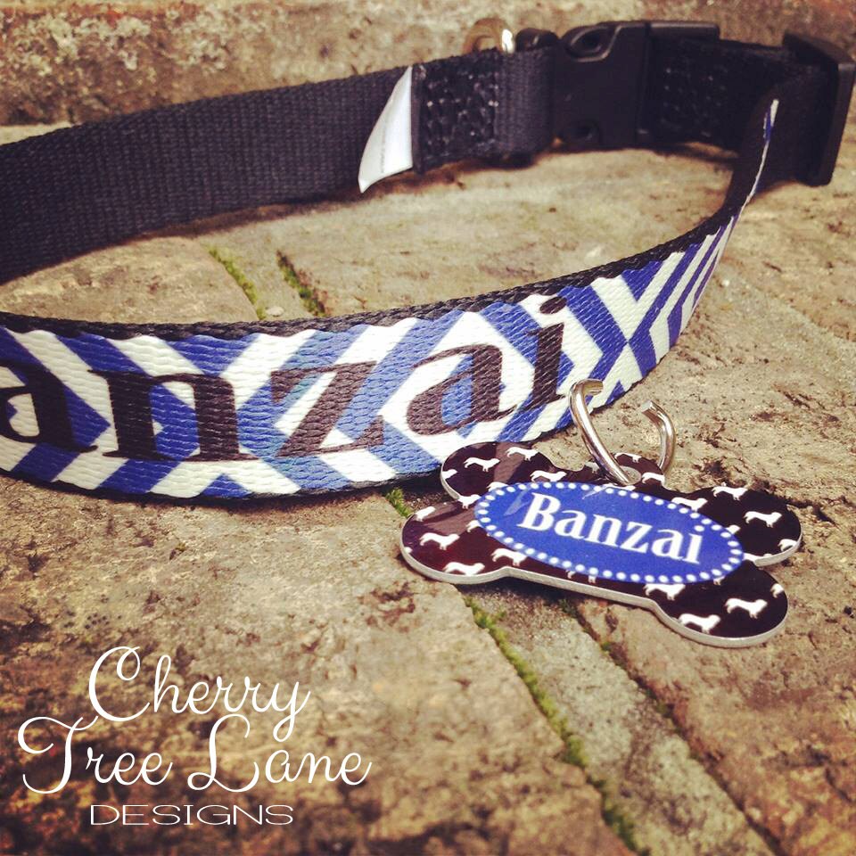 Pet CollarPersonalized Pet Collar Personalized Dog Tag