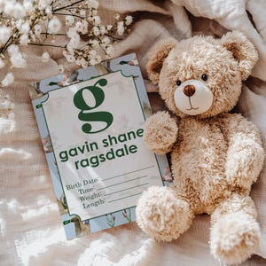 Baby Birth Stats Sign for Hospital, Personalized Birth Announcement Sign Keepsake, Duck Hunting Themed Nursery