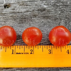 Christmas Grapes Tomato Seeds Organically Grown, non-GMO, Heirloom, Made in Wisconsin USA image 6
