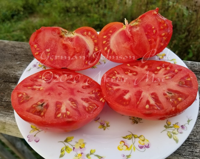 German Johnson Pink Tomato Seeds -- Organically Grown, non-GMO, Heirloom, Made in Wisconsin - USA