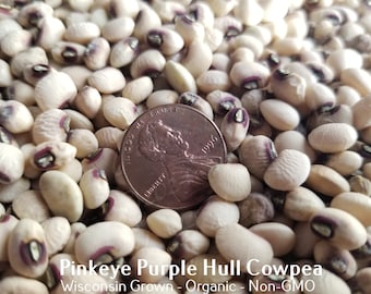 Pinkeye Purple Hull Cowpea (Southern Pea) Cowpea Seed