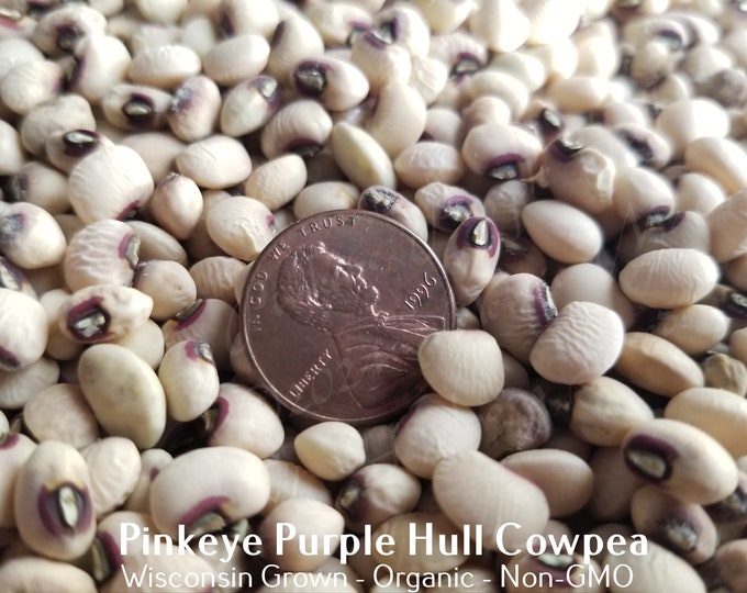 Pinkeye Purple Hull Cowpea (Southern Pea) Cowpea Seed