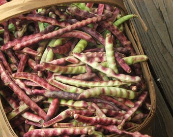 Mississippi Purple Hull Cowpea (Southern Pea) Seed