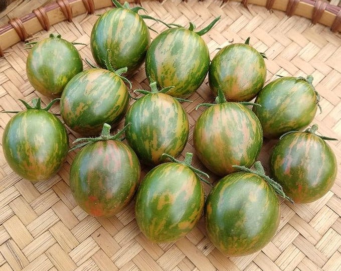 Green Bumble Bee Tomato Seeds -- Organically Grown, non-GMO, Heirloom, Made in Wisconsin - USA