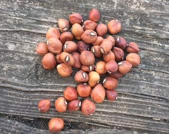 Dimpled Brown Crowder Cowpea (Southern Pea) Seeds