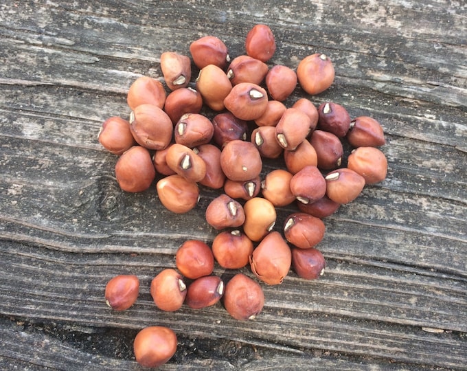 Dimpled Brown Crowder Cowpea (Southern Pea) Seeds