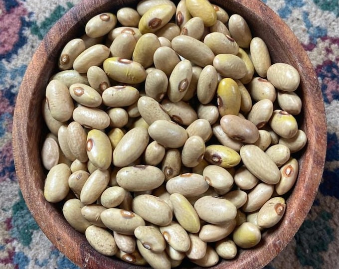 Arikara Yellow Dry Bush Bean Seed