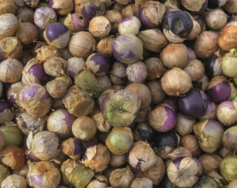 Purple de Milpa Tomatillo Seed