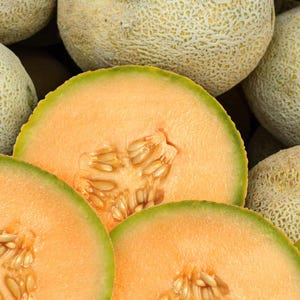 Pride of Wisconsin Muskmelon
