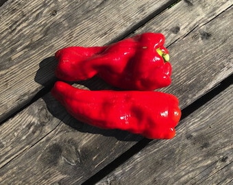 Cubanelle Sweet Pepper Seeds -- Organically Grown, non-GMO, Heirloom, Made in Wisconsin - USA