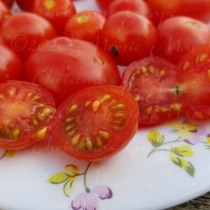 Christmas Grapes Tomato Seeds Organically Grown, non-GMO, Heirloom, Made in Wisconsin USA image 3