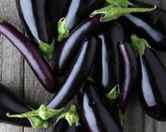 Purple Pickling Eggplant Seeds