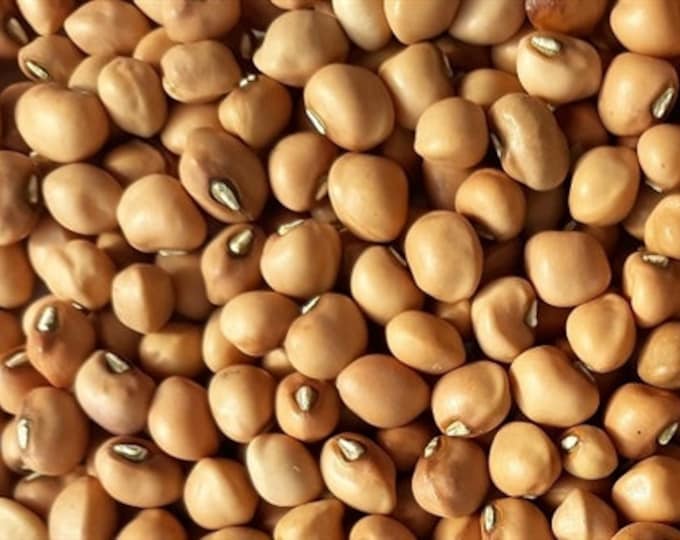 Mississippi Purple Hull Cowpea (Southern Pea) Seed