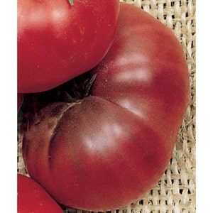 Black Brandywine (Merrell&#39;s Strain) Tomato Seeds -- Organically Grown, non-GMO, Heirloom, Made in Wisconsin - USA