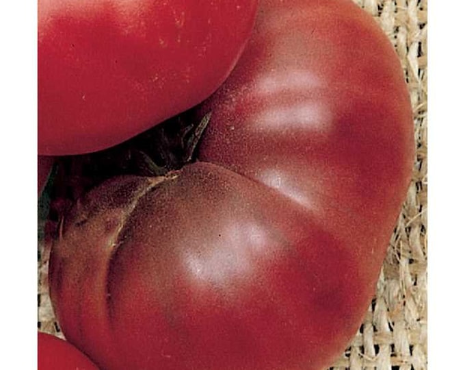 Black Brandywine (Merrell's Strain) Tomato Seeds -- Organically Grown, non-GMO, Heirloom, Made in Wisconsin - USA