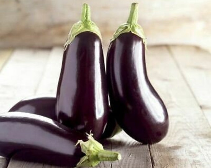 Diamond Eggplant Seeds -- Organically Grown, non-GMO, Heirloom, Made in Wisconsin - USA
