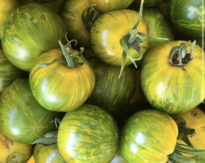 Emerald Green Cherry Tomato Seed