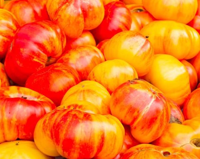 Striped German Tomato Seed