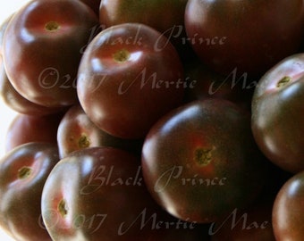 Könnte beinhalten: Nahaufnahme einer Gruppe dunkelvioletter Tomaten. Die Tomaten sind in einem Haufen angeordnet, wobei sich einige überlappen. Die Tomaten sind glatt und glänzend, mit einer tiefvioletten Farbe. Die Tomaten werden "Black Prince" genannt.