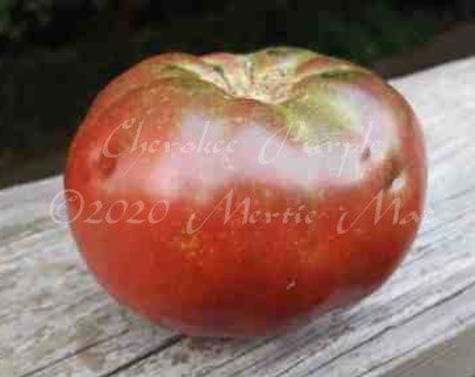 Cherokee Purple Tomato Seeds -- Organically Grown, non-GMO, Heirloom, Made in Wisconsin - USA