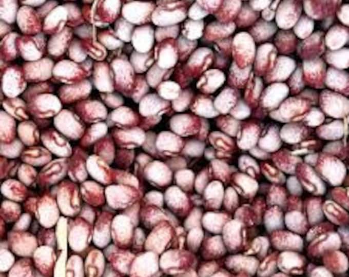Mayflower Dry Pole Bean Seed