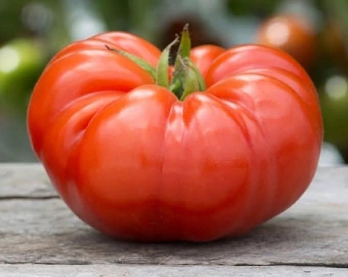 Mortgage Lifter (Halladay's Strain) Tomato Seeds -- Organically Grown, non-GMO, Heirloom, Made in Wisconsin - USA