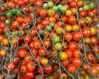 Sweet Pea Currant Tomato Seeds -- Organically Grown, non-GMO, Heirloom, Made in Wisconsin - USA