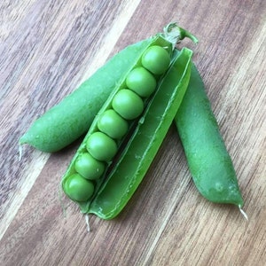 May include: A green pea pod with the peas removed, revealing the green peas inside. The pod is open and lying on a wooden surface. There is another closed pea pod next to it.