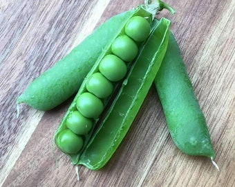 Early Frosty Pea Seed
