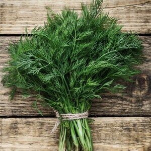 Bouquet Dill Seeds -- Organically Grown, non-GMO, Heirloom, Made in Wisconsin - USA